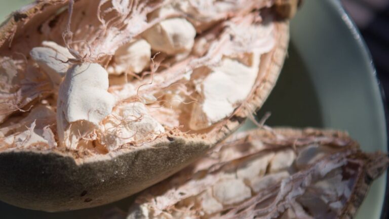 Gray Vegetables and Fruits That You Didn't Know About