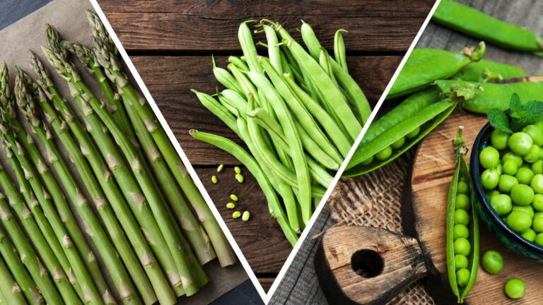 Best Green Beans Substitutes