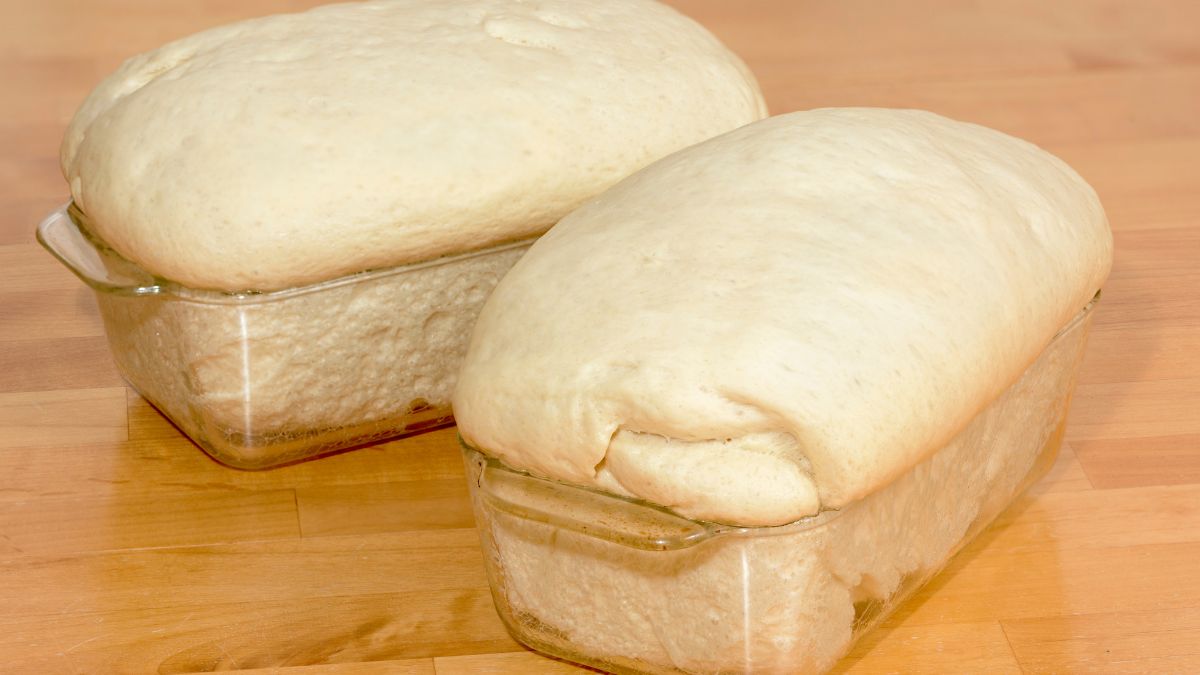 Bread in a Well-Greased Glass Pan