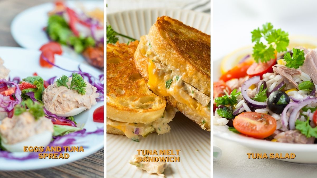 What to serve with canned tuna? How to serve canned tuna?