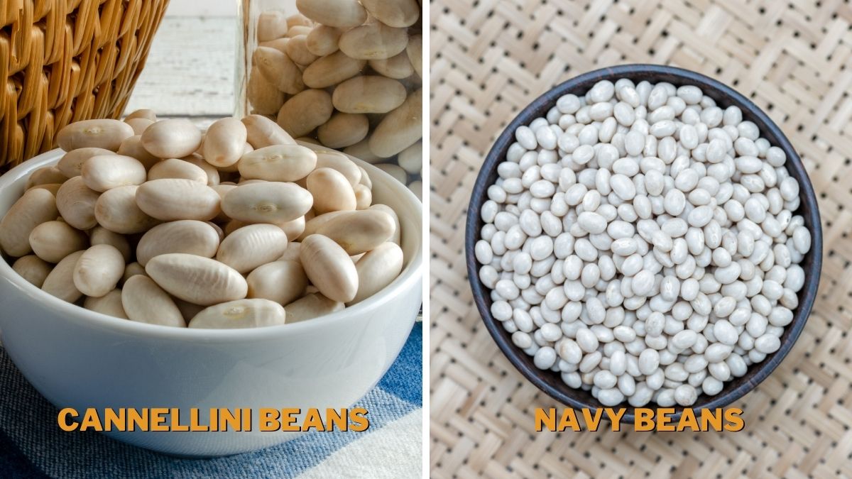 Cannellini Beans vs Navy Beans