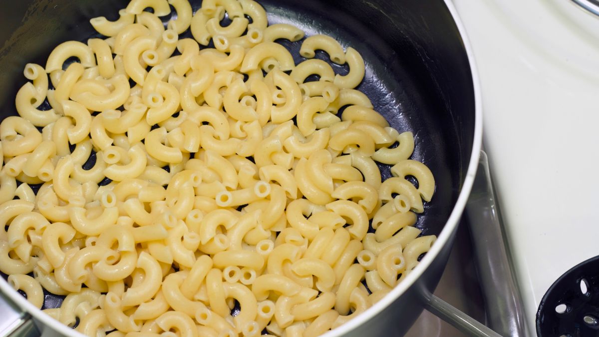Cooked macaroni pasta in a pot