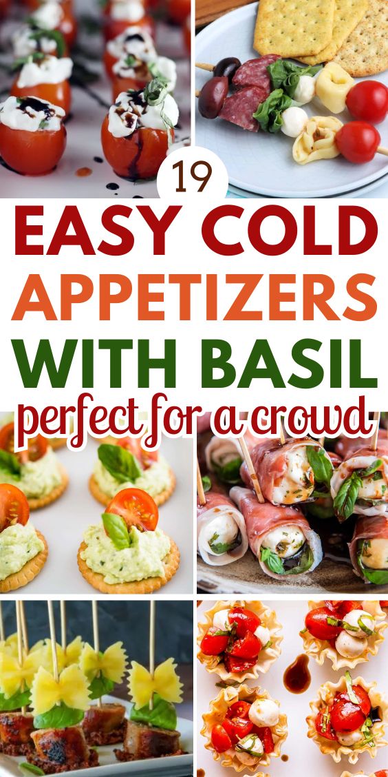 Delicious Appetizers With Basil Leaves 1