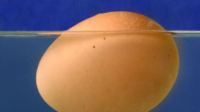 Do Eggs Float When Done Boiling? Only Sometimes!