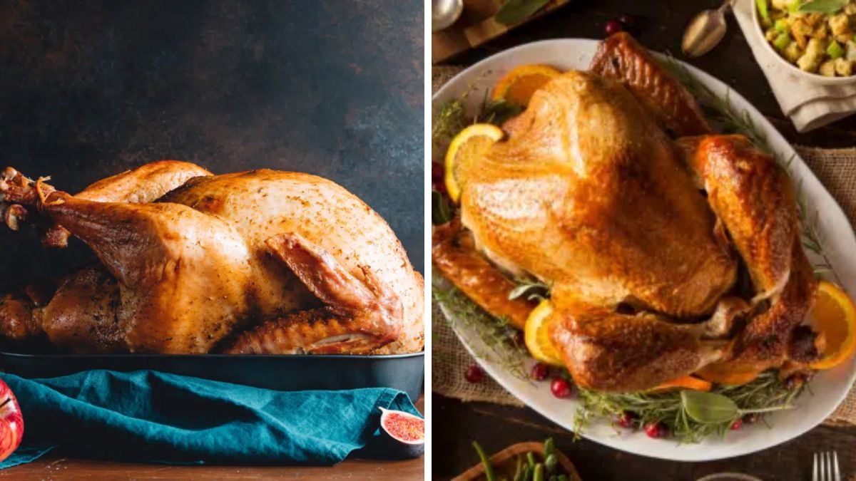 Elmwood Stock Farm Heritage and Broad-Brested Turkeys