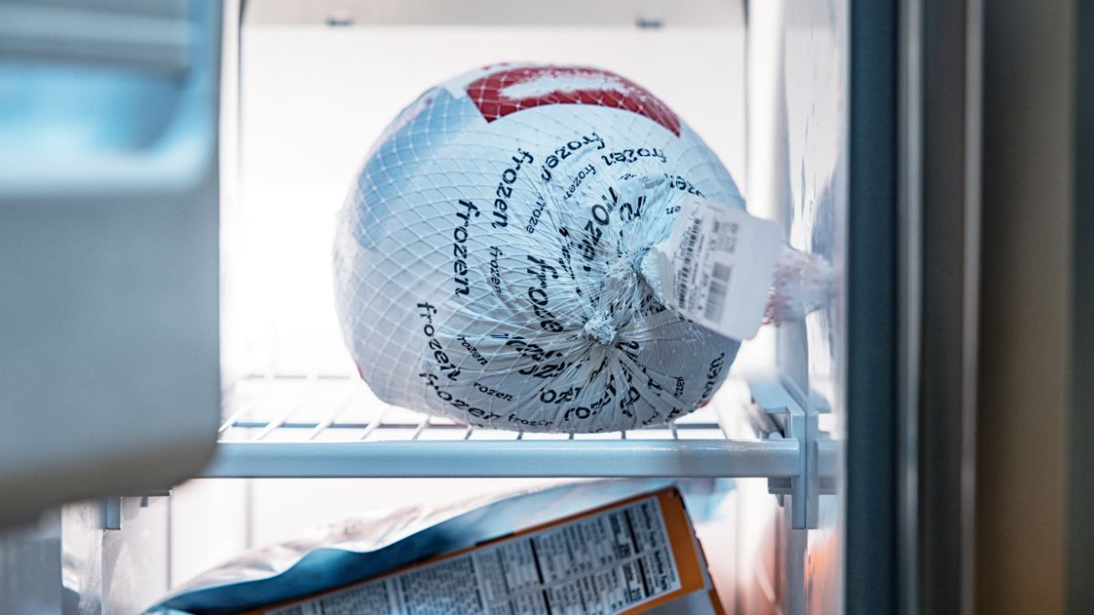 Frozen Turkey in the Freezer