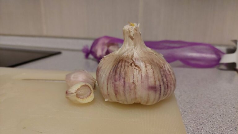 Garlic Turning Purple
