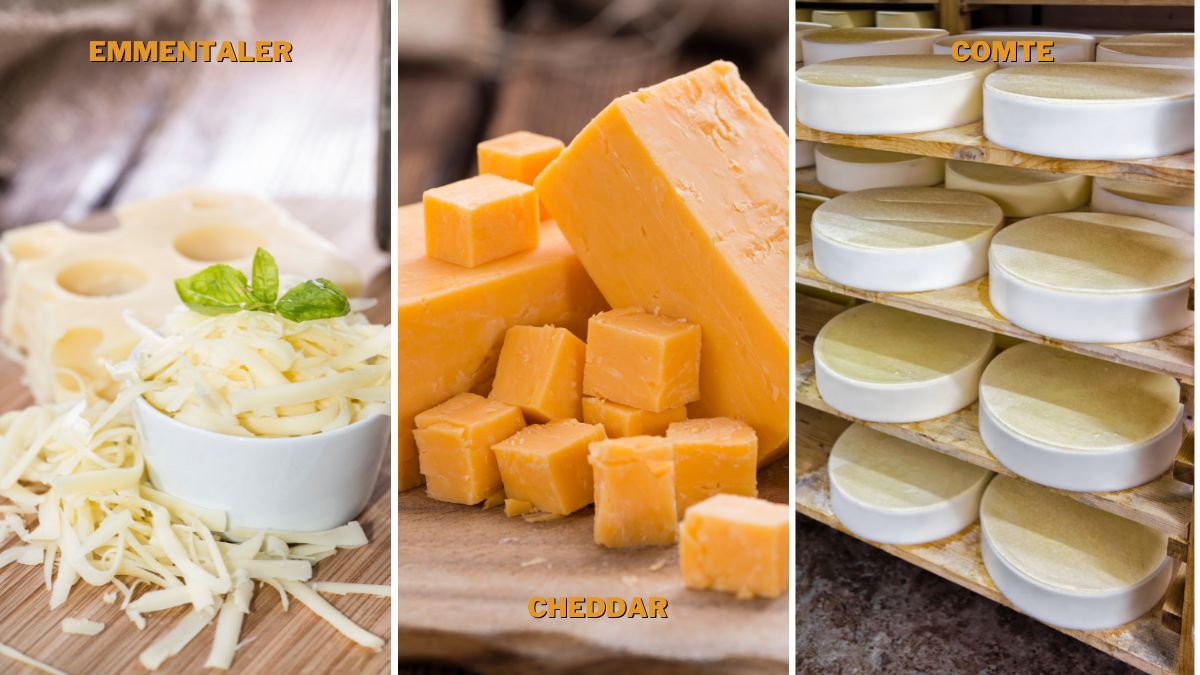 Gruyere Cheese Substitutes for Quiche