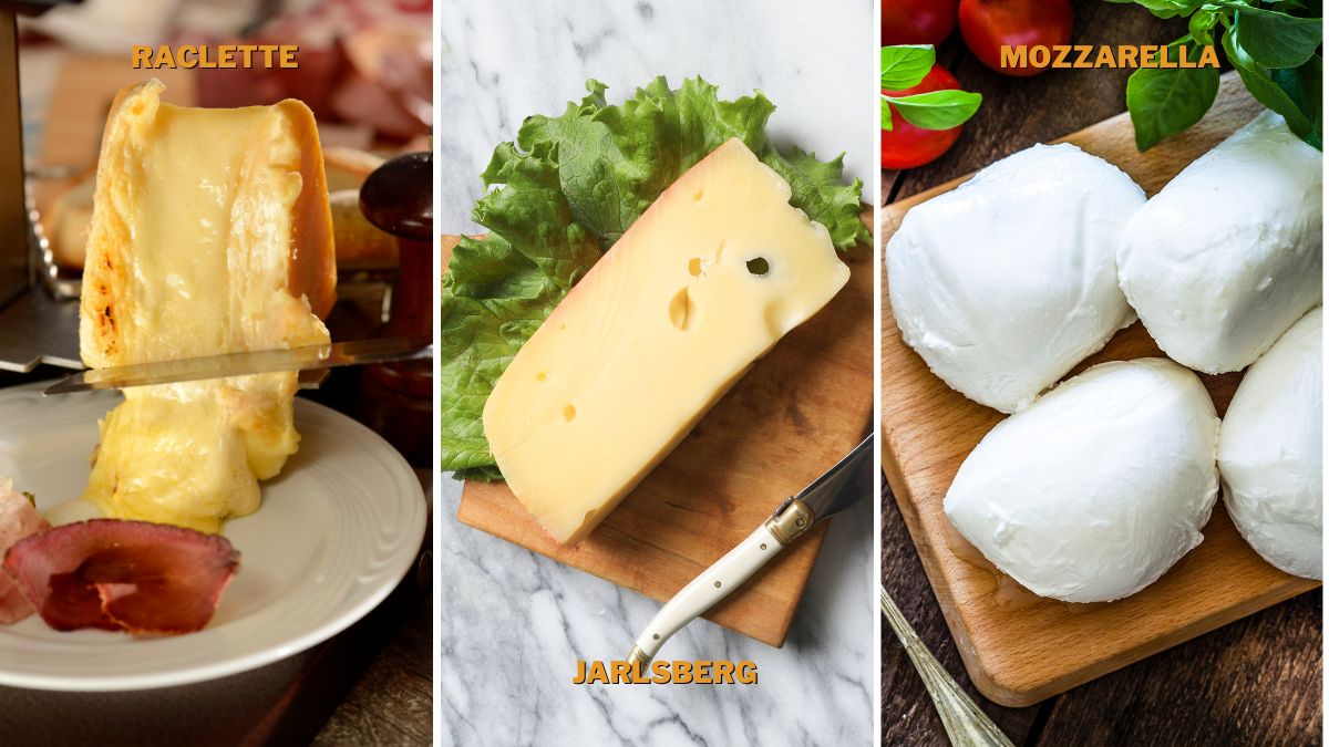 Gruyere Cheese Substitutes for Quiche