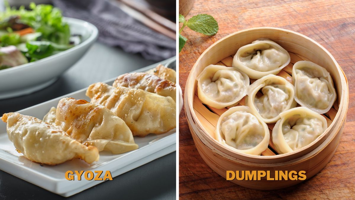 Gyoza vs. Dumplings