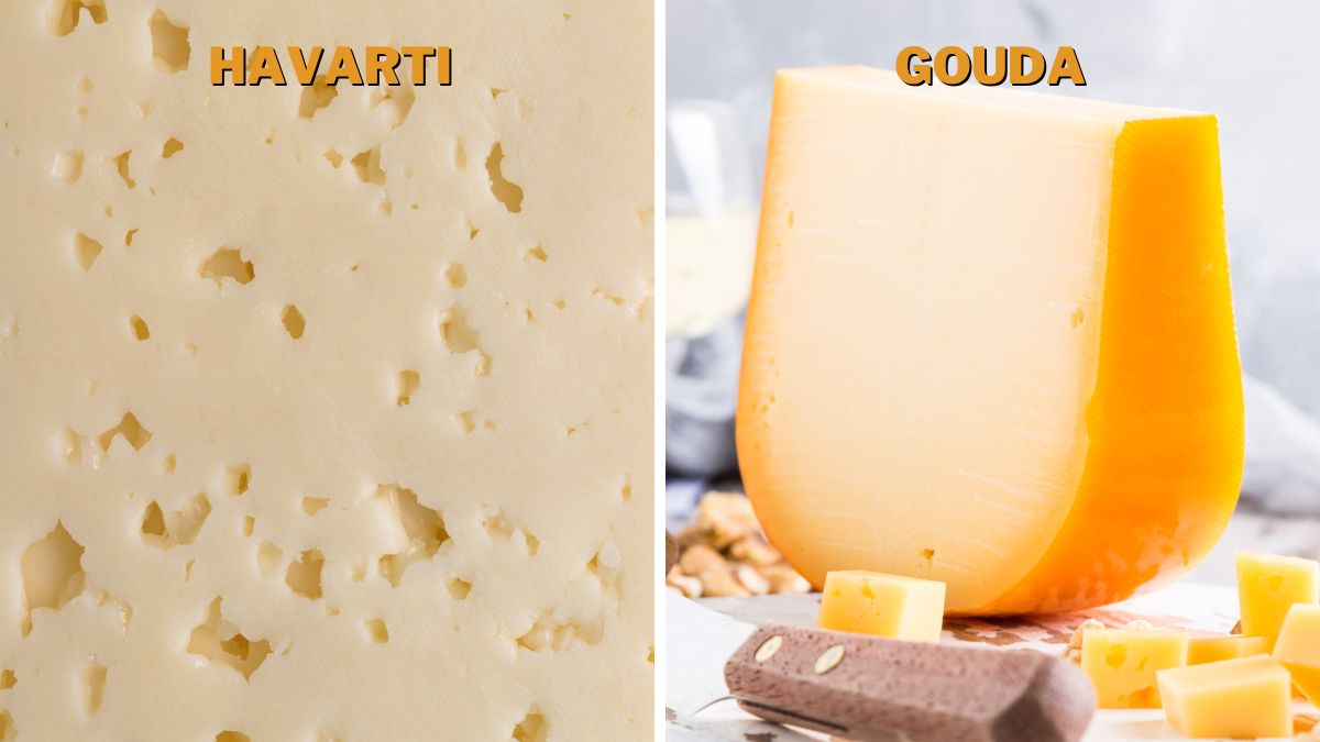 Havarti vs. Gouda