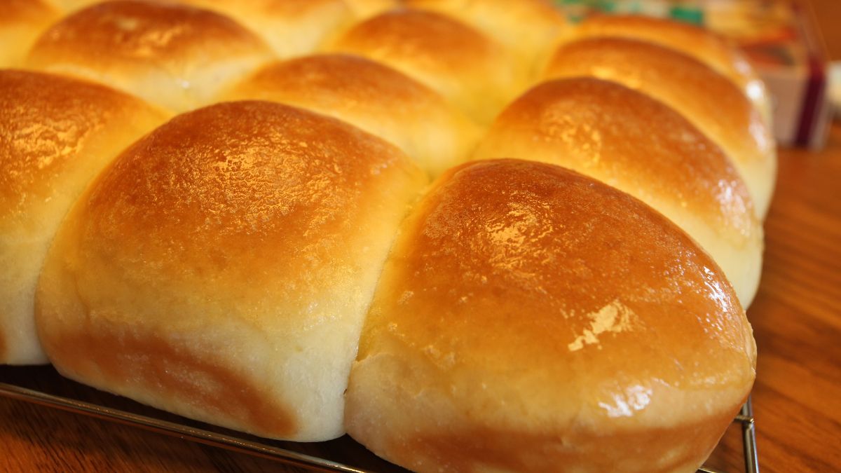 Homemade Dinner Rolls