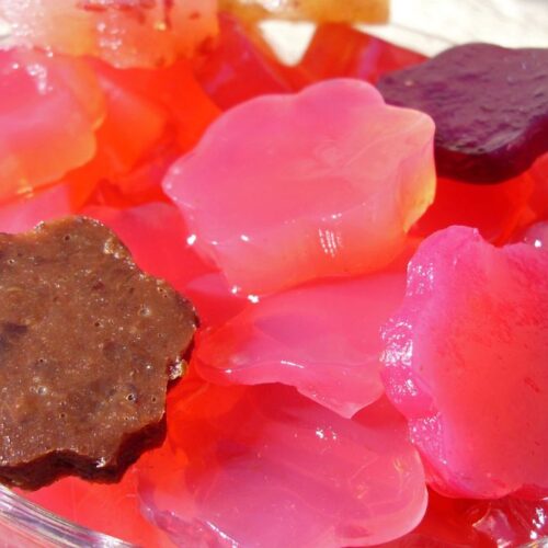 Homemade Gummies that Don’t Melt