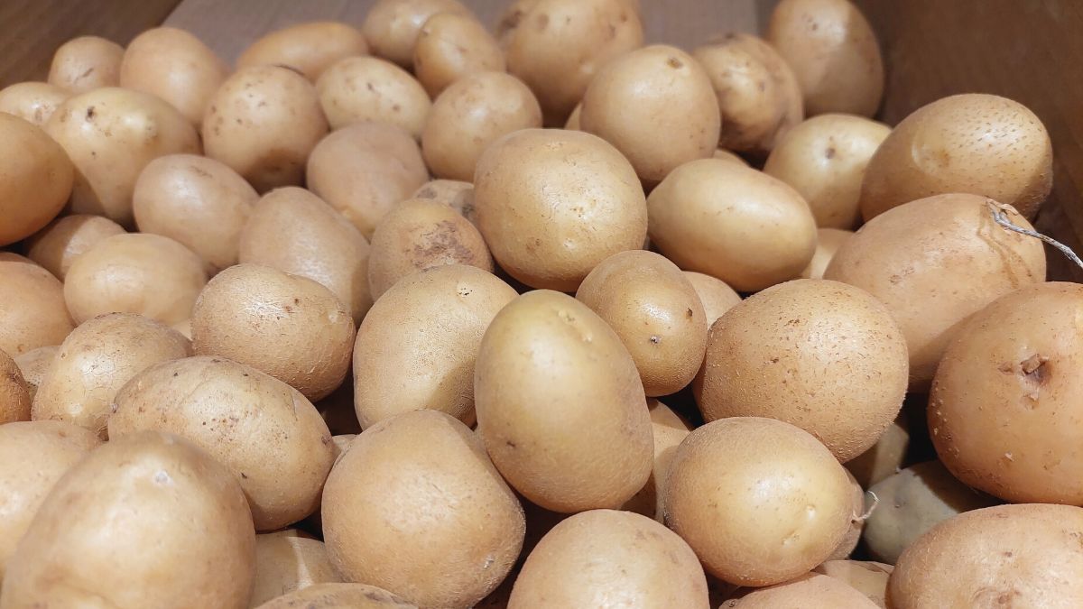 How To Cook Honey Gold Potatoes On Stove