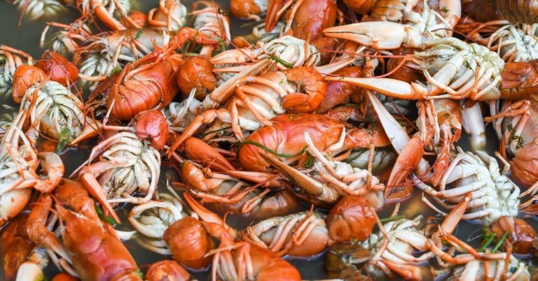 How to Reheat Frozen Crawfish