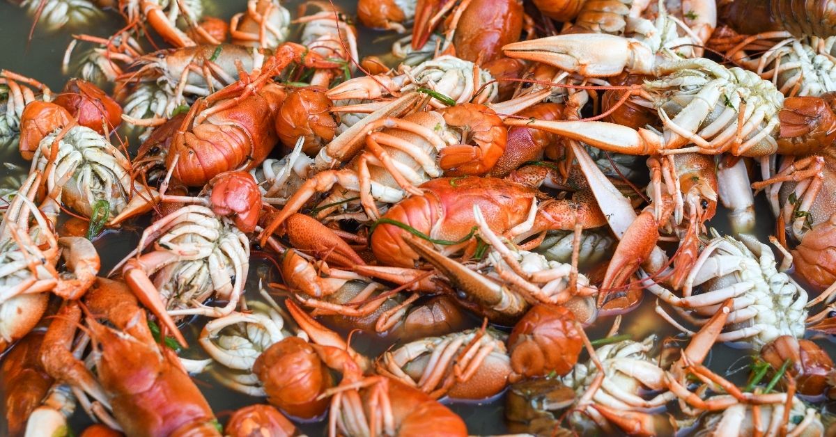 How to Reheat Frozen Crawfish