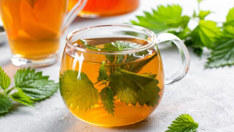8 Ideas to Make Nettle Tea Taste Good 