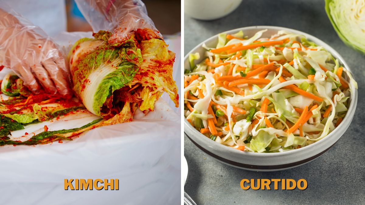 Ingredients and Preparation of kimchi and curtido