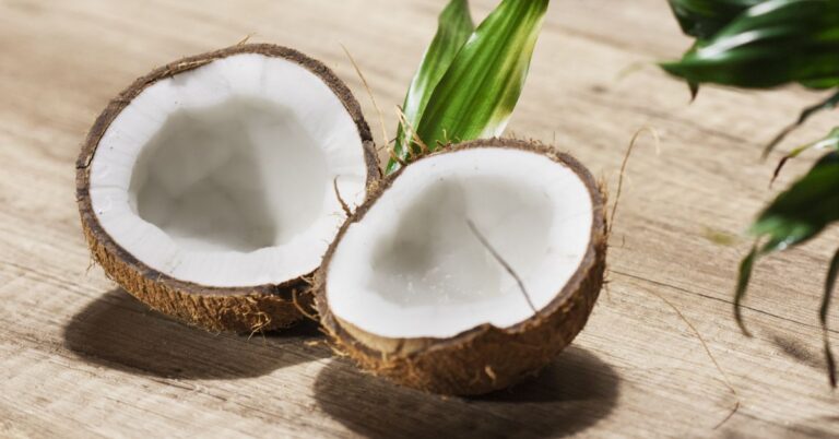 Is Coconut a Nut Fruit or Vegetable