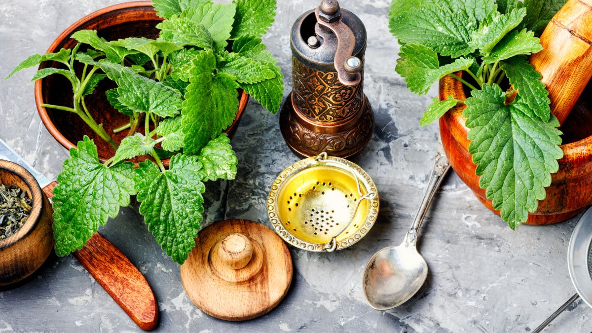 Lemon balm in the kitchen