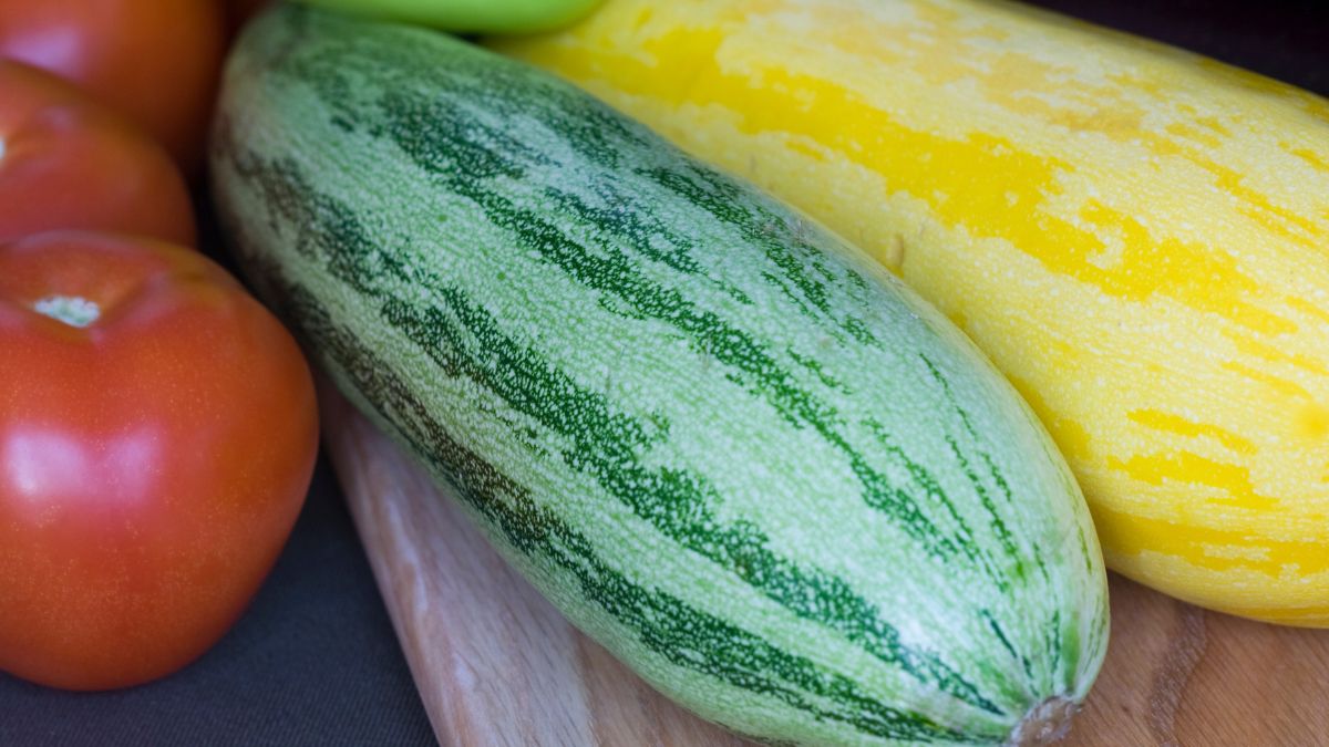 Mexican Gray Squash pictured next to fresh tomatoes and yellow zucchini