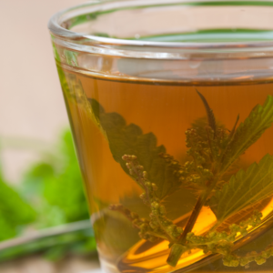 Nettle Tea Summer Edition 1