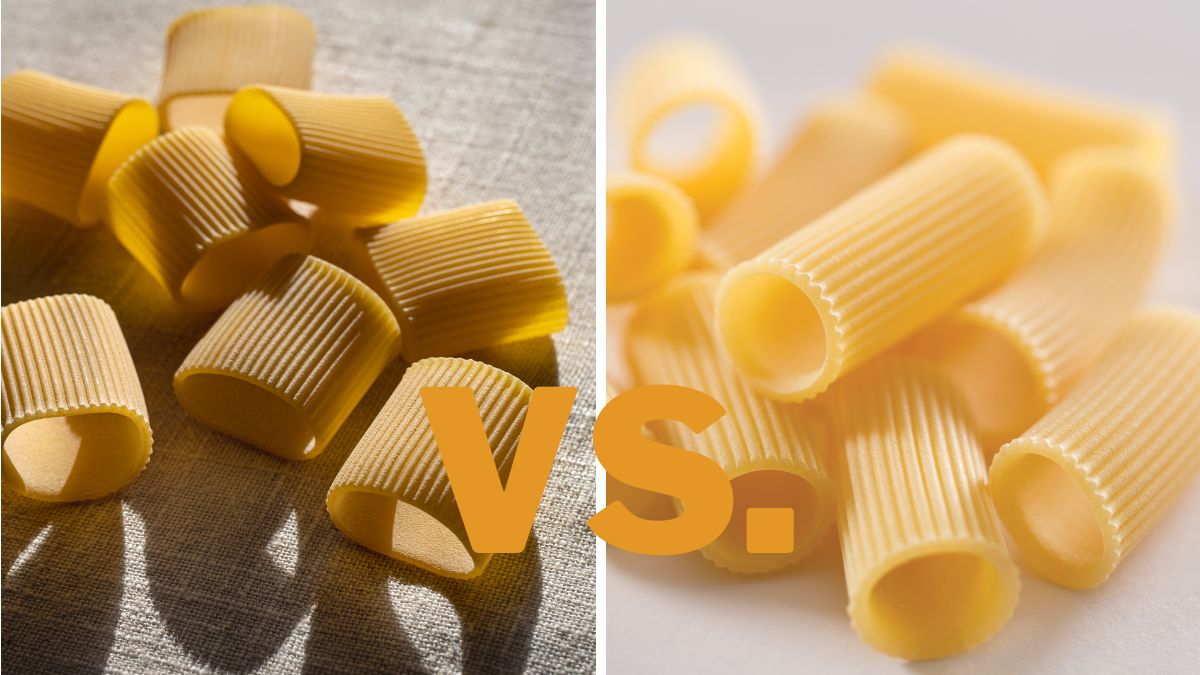 Paccheri vs. Rigatoni
