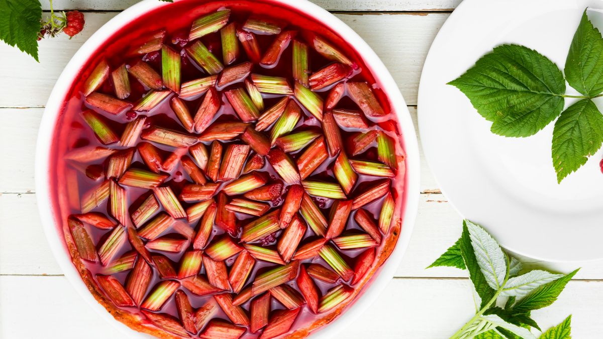 Raspberry Rhubarb Tart