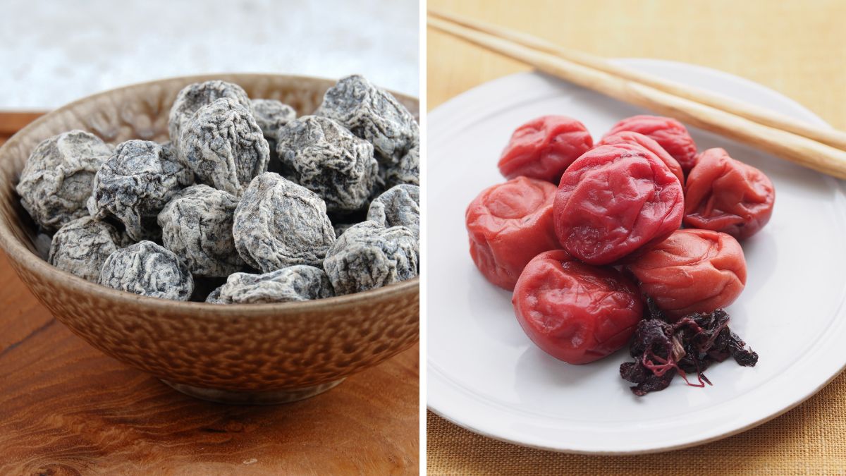Salted Plums - dried gray plums on the left, and pickled bright red plums on the right