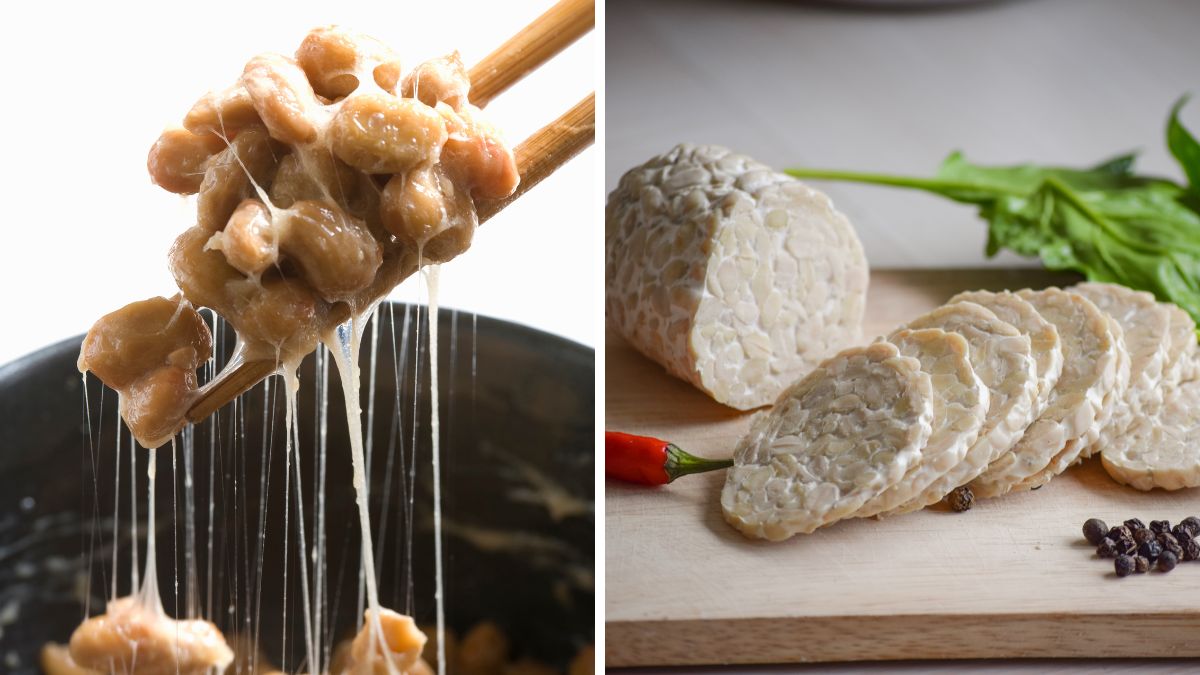 Slimy appearance of natto vs. a sliced mass of tempeh