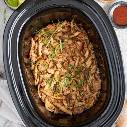 SlowCookerHoneyGarlicChicken 14