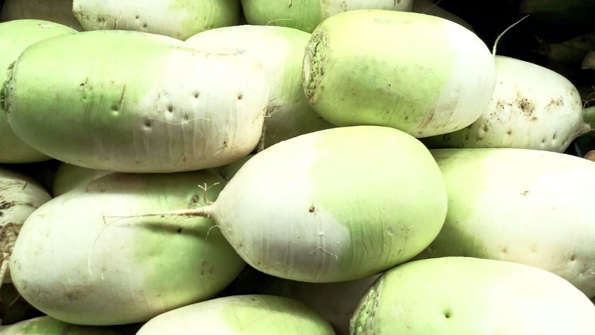 Substitutes for Radish to Try