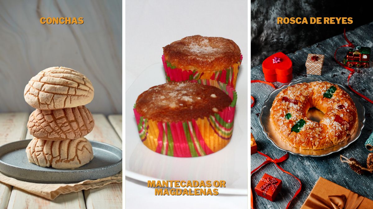 Types of Sweet Bread: conchas, mantecadas, and rosca de reyes pictured next to one another in different settings