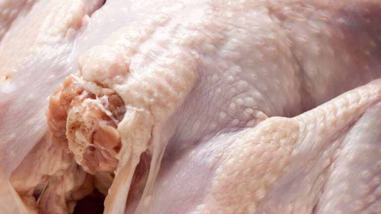 What is Utility Turkey, and Is It Worth Buying
