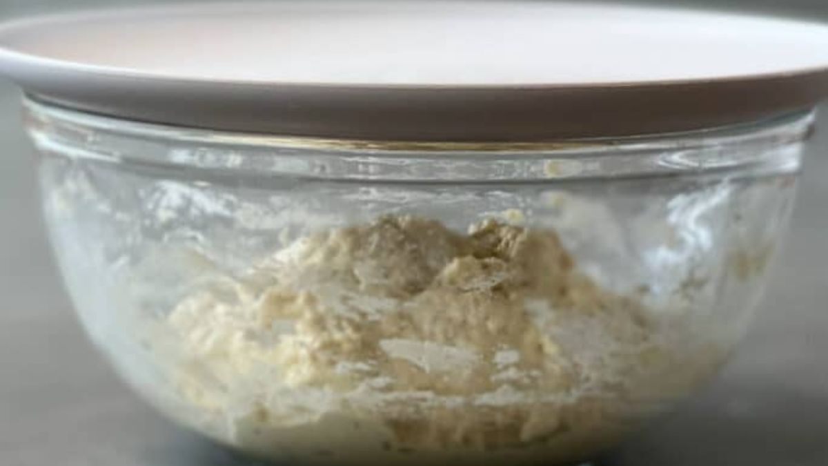 What to Use Instead of Plastic Wrap for Dough