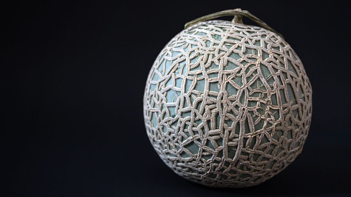 Yubari King Melon on black background