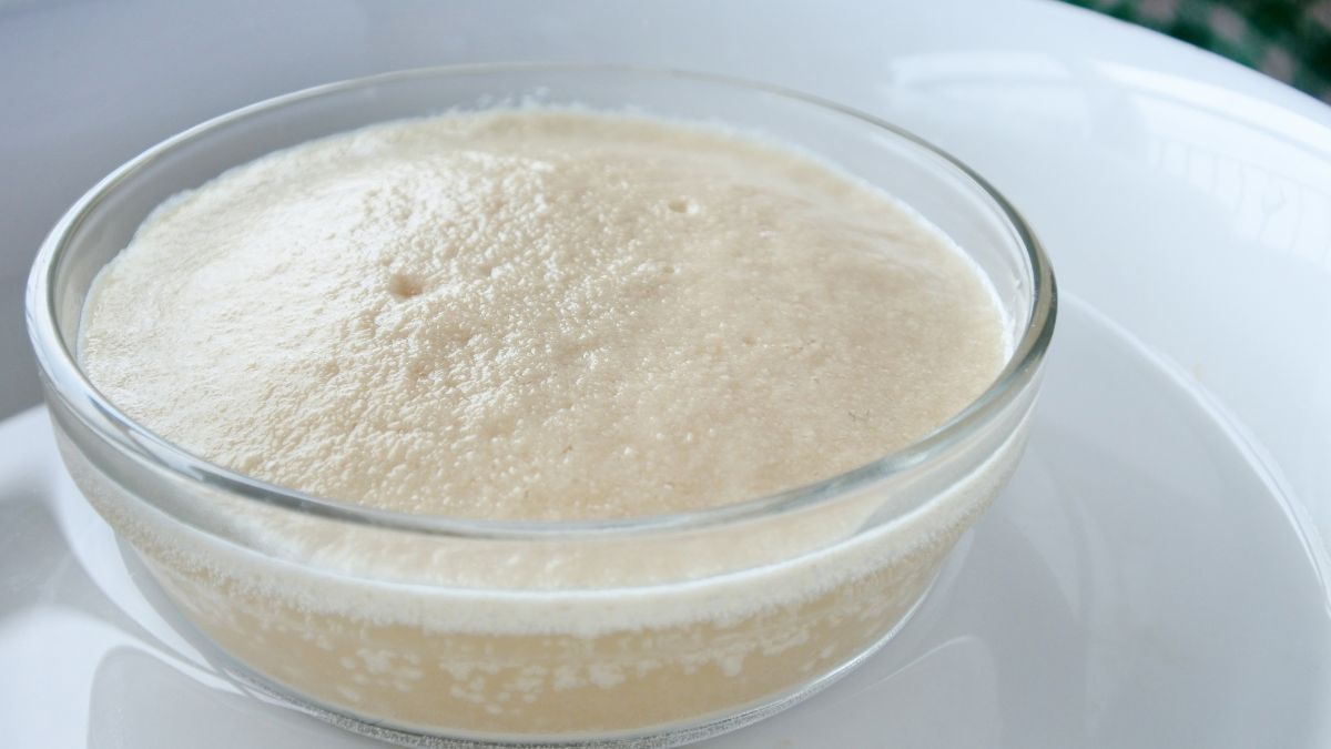 activated yeast to rise cinnamon rolls