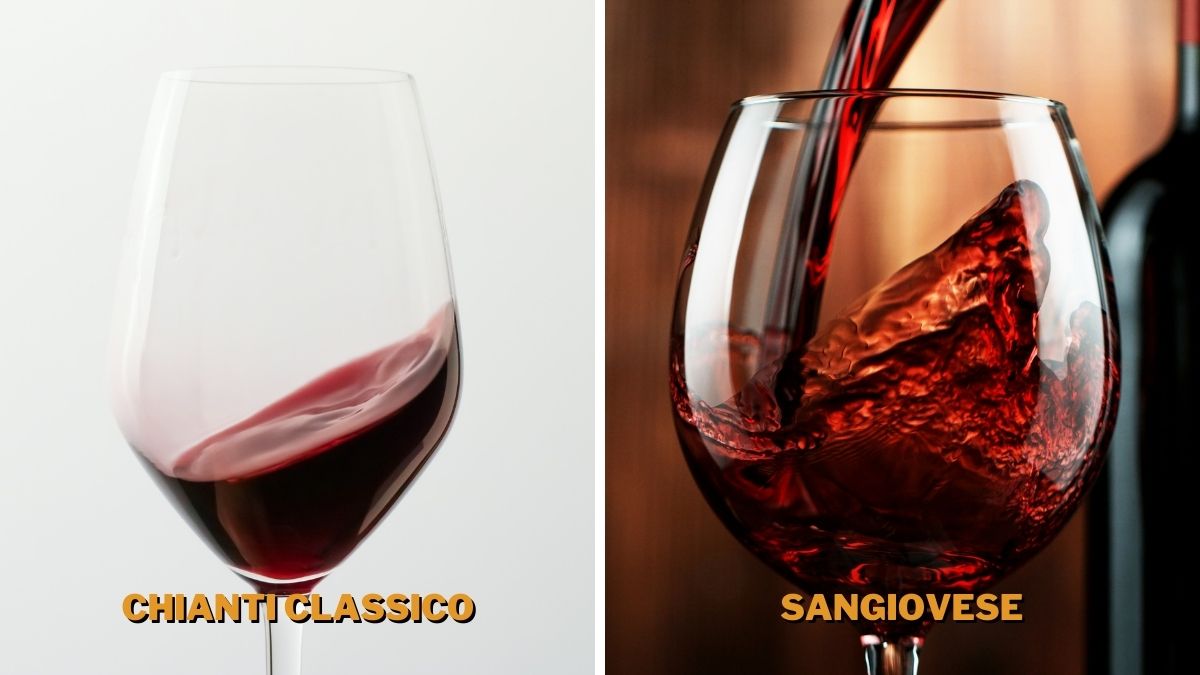 chianti classico and sangiovese go well with spaghetti bolognese