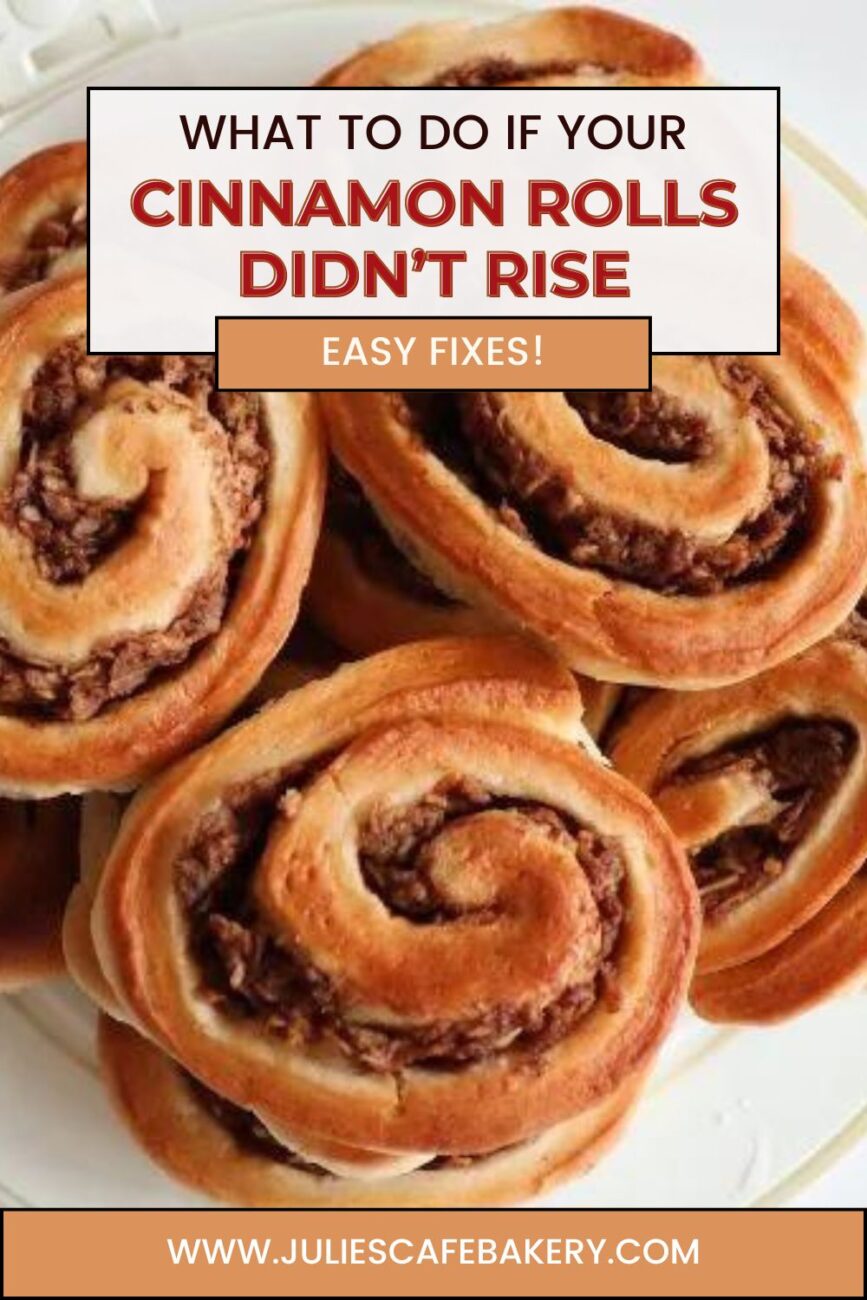 cinnamon rolls didnt rise