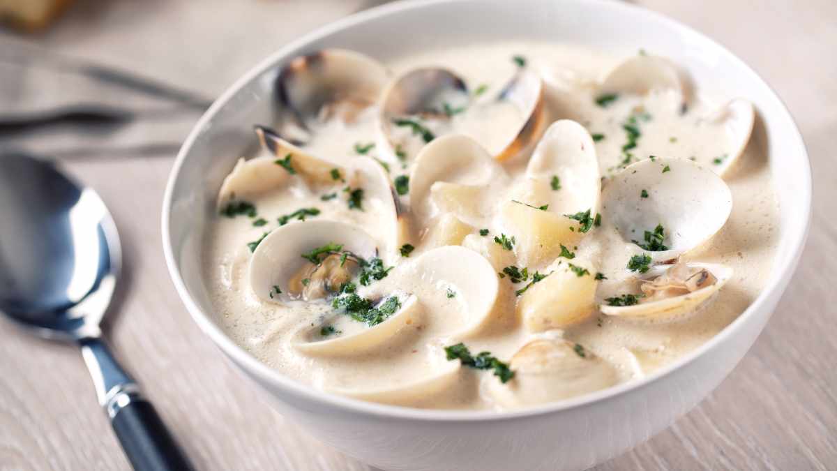 clam chowder