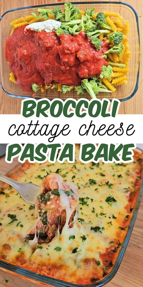 cottage cheese pasta bake with broccoli RECIPES