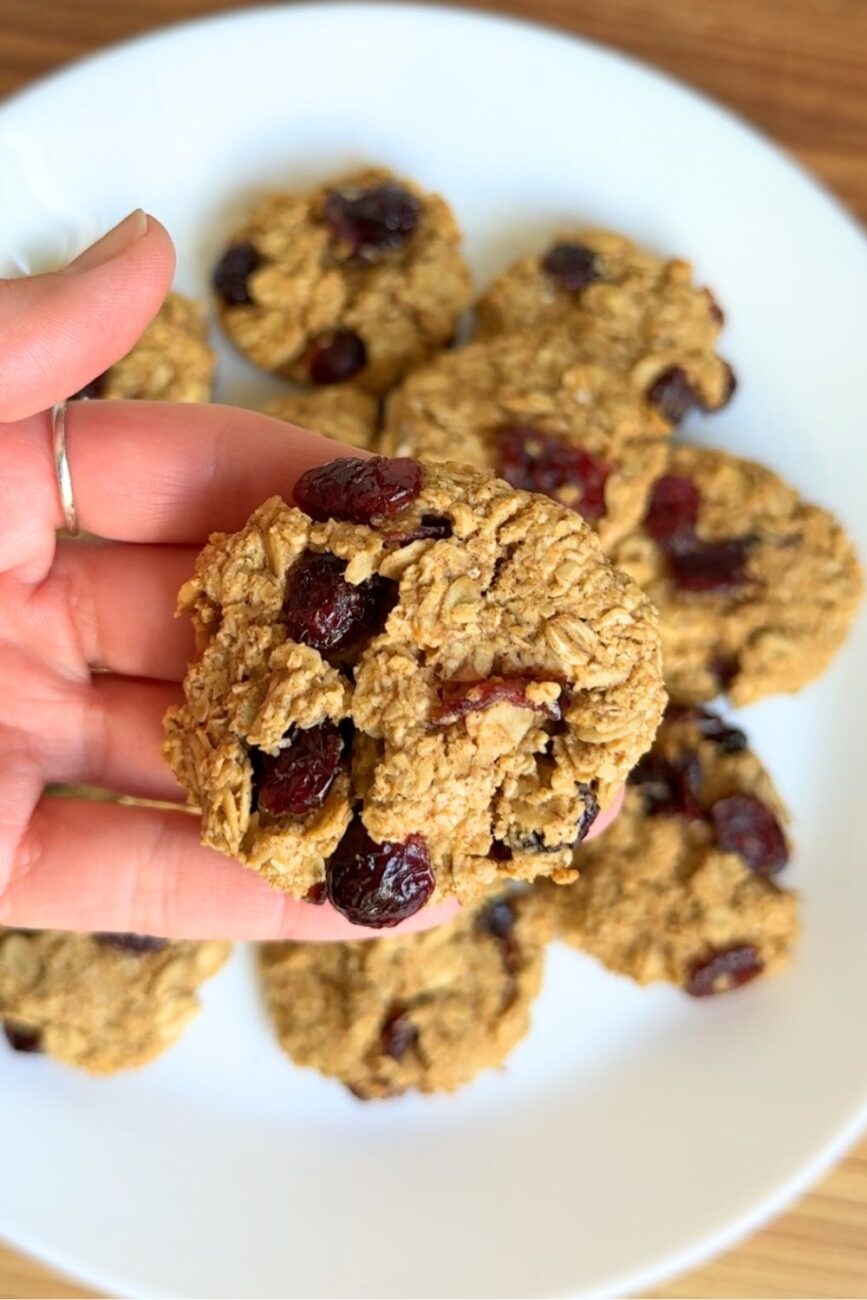 cranberry oat cookies recipe