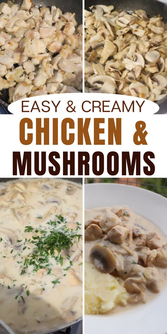 creamy chicken breast with mushrooms