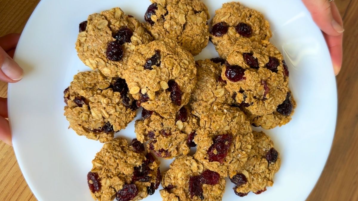 dried cranberry oatmeal cookies