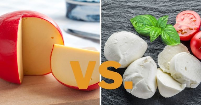 edam vs mozzarella