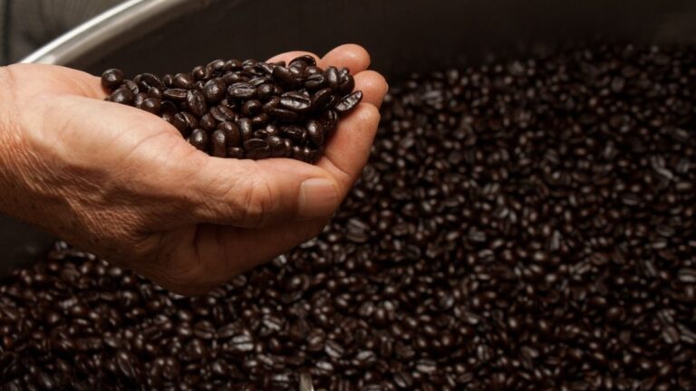 From Bean to Bake: Why Freshly Roasted Coffee Makes a Difference in Recipes