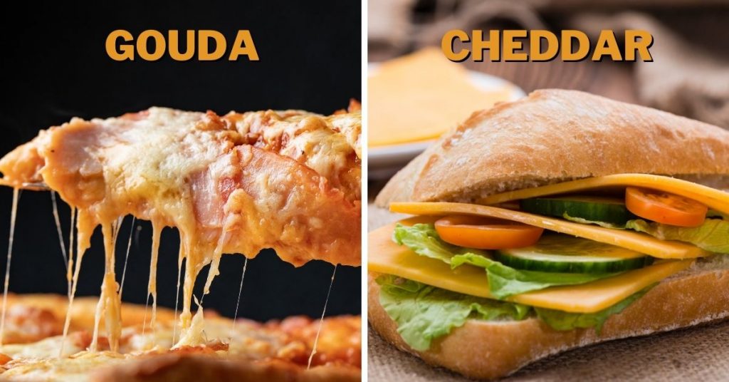 gouda vs cheddar