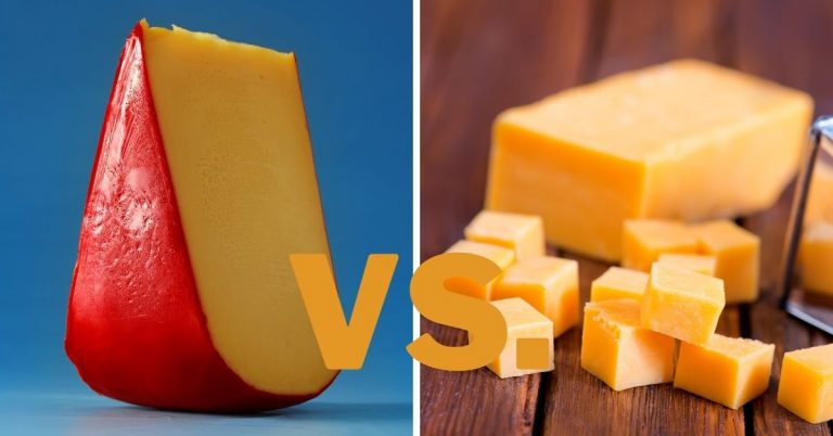 gouda vs cheddar