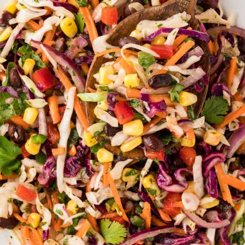 mexican coleslaw salad 9
