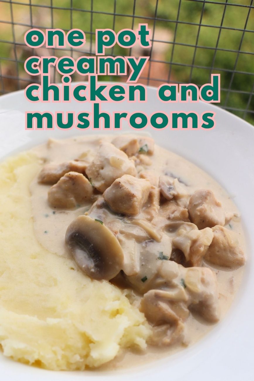 one pot creamy chicken and mushroom